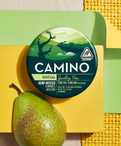 Camino Sparkling Gummies for Sale